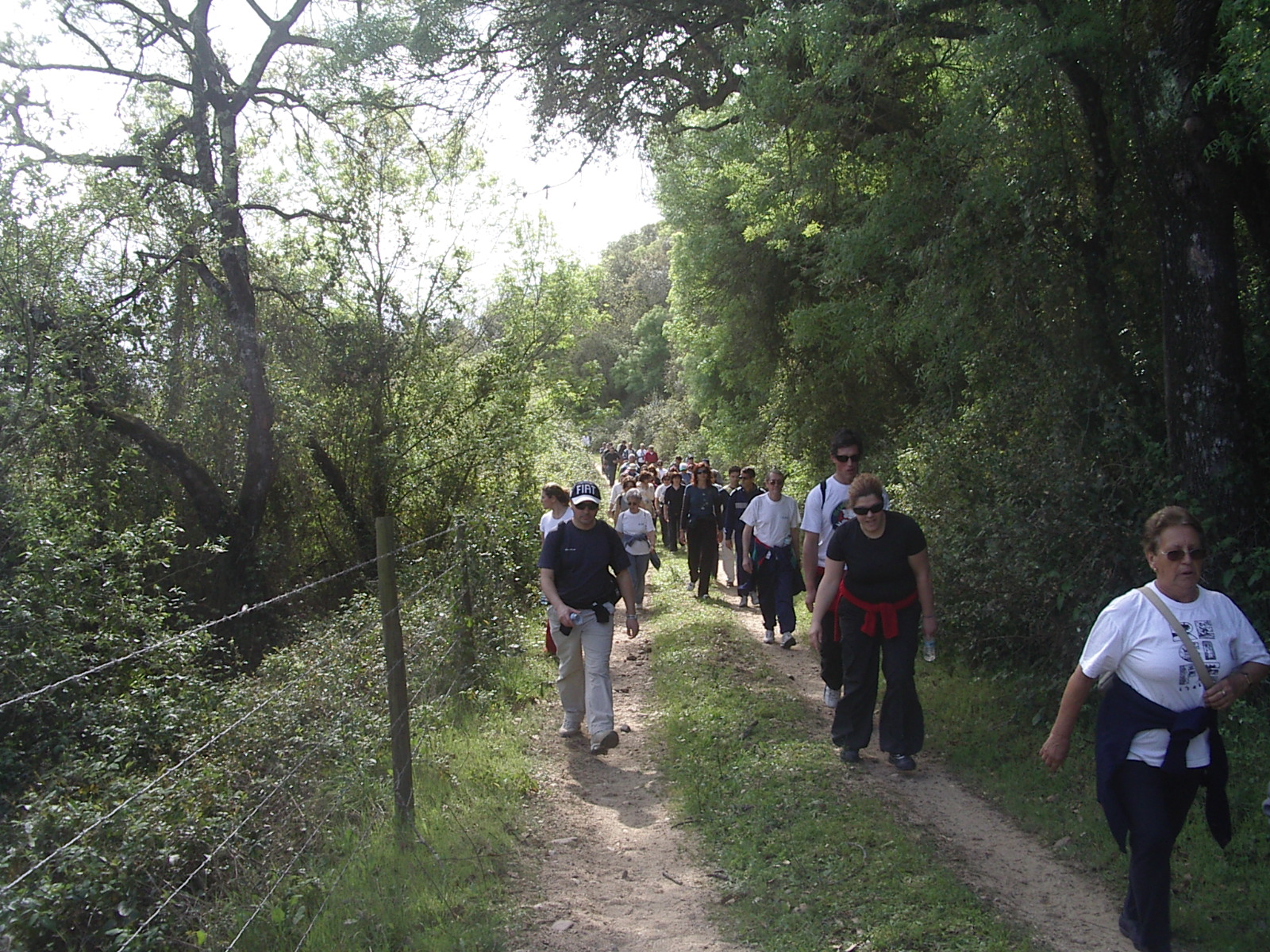 Walks - BAW 1