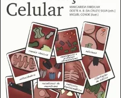 Sinalização Celular
